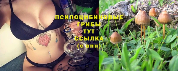 прущий лед Алексеевка