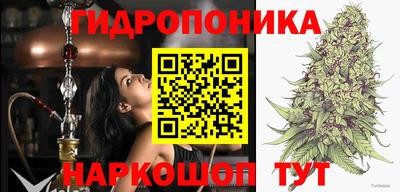 гашик Ликино-Дулёво