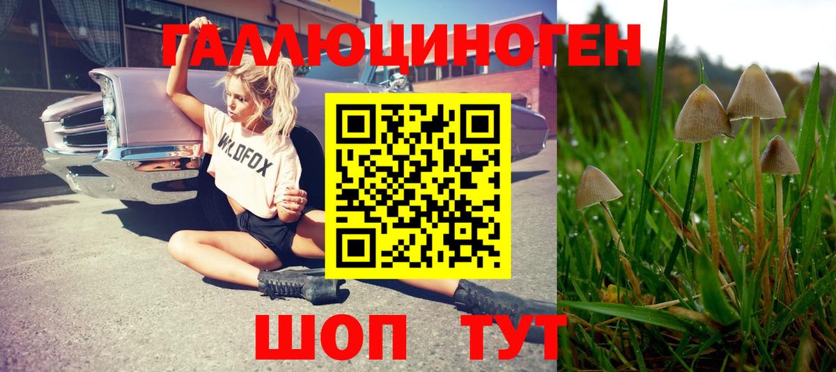 Псилоцибиновые грибы Cubensis  Вход с VPN  Когалым  Галлюциногенные грибы прущие грибы 