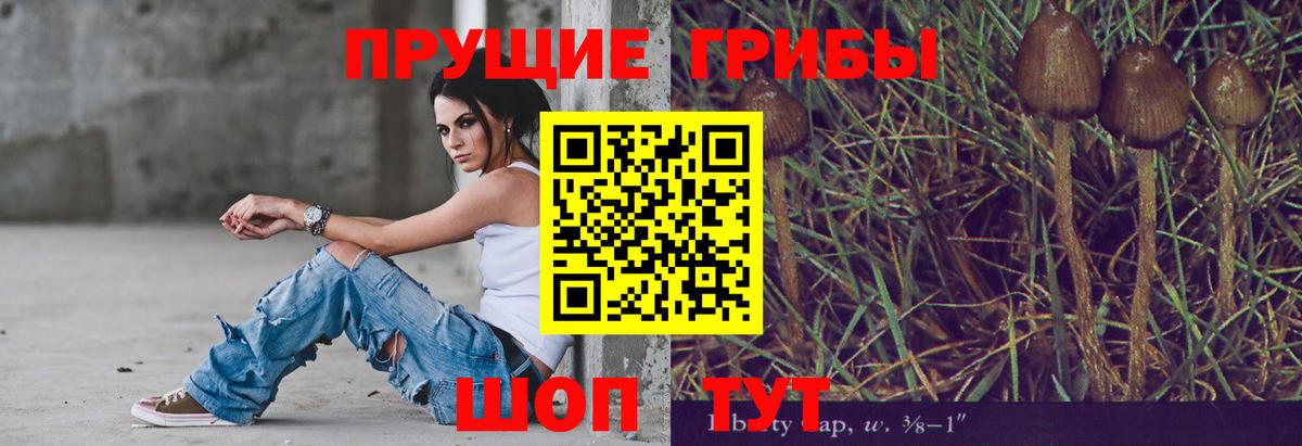 Галлюциногенные грибы Cubensis Когалым