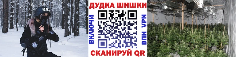 Бошки марихуана конопля  Когалым 